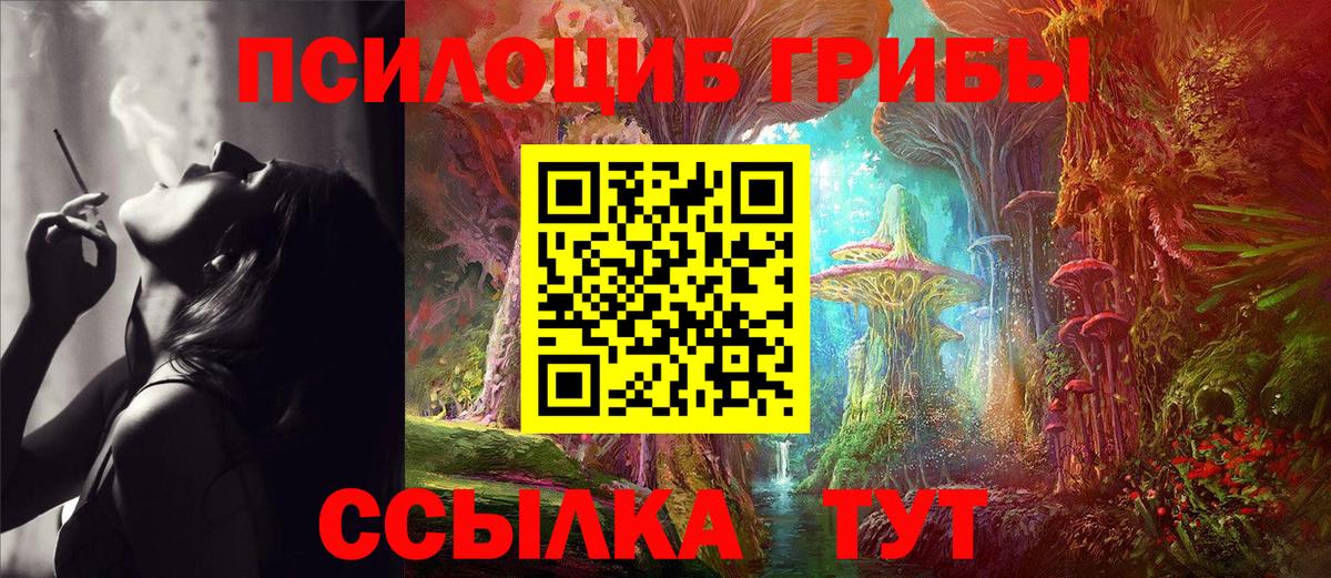 Галлюциногенные грибы Psilocybine cubensis  Вход с VPN  сколько стоит  Череповец 