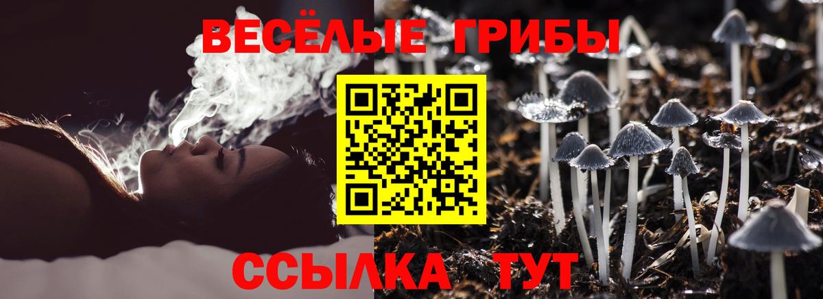Галлюциногенные грибы Psilocybine cubensis Череповец